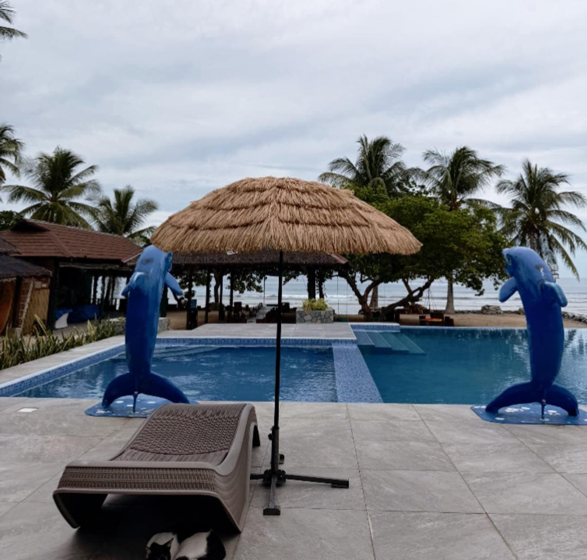 EcoWave Beach Resort