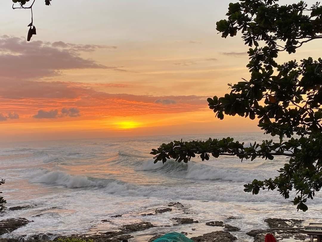 KM 277 Tavern By The Sea Co.