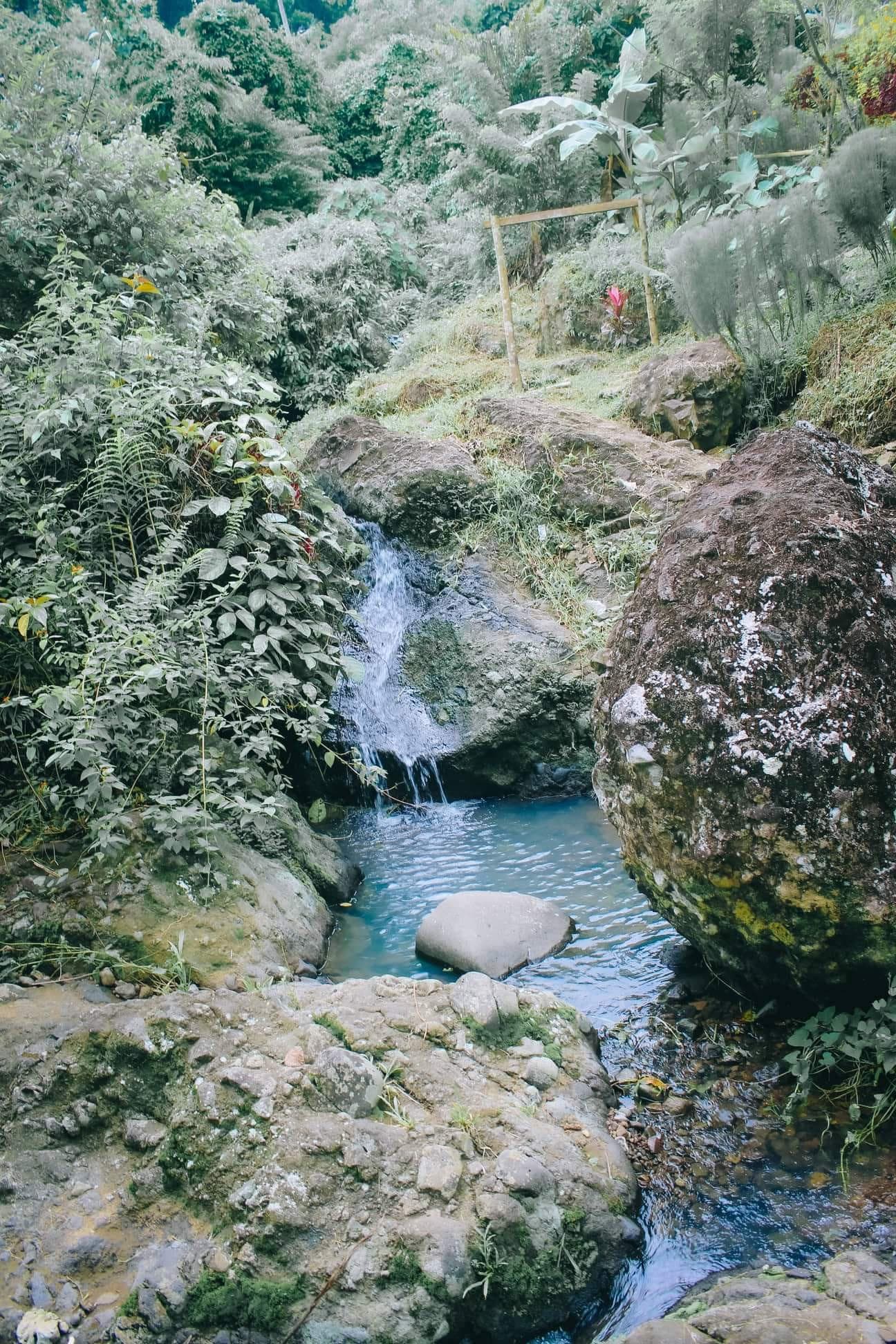 Hannah's Nature Camp