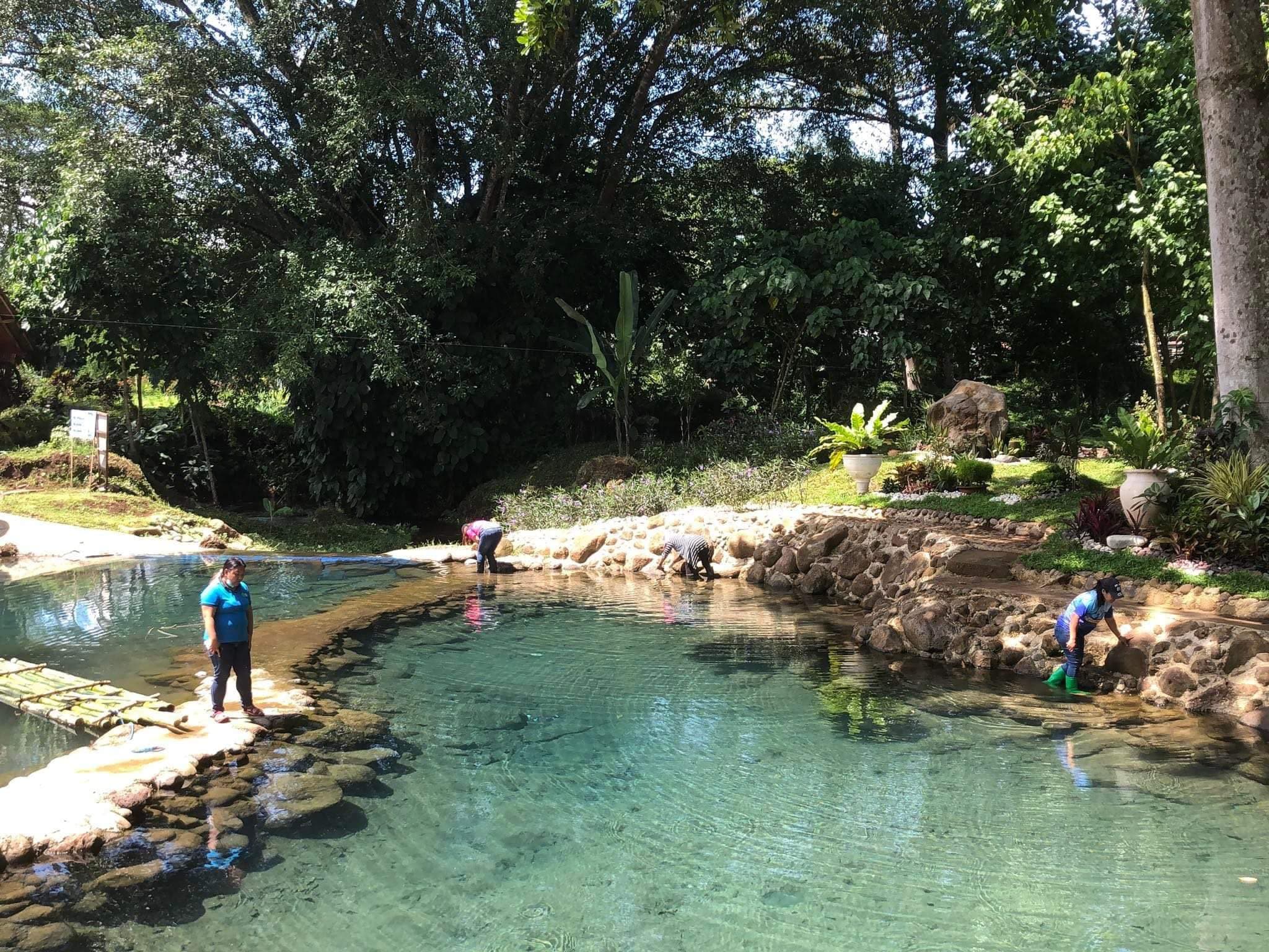 El Roi Tubigan - Family Spring