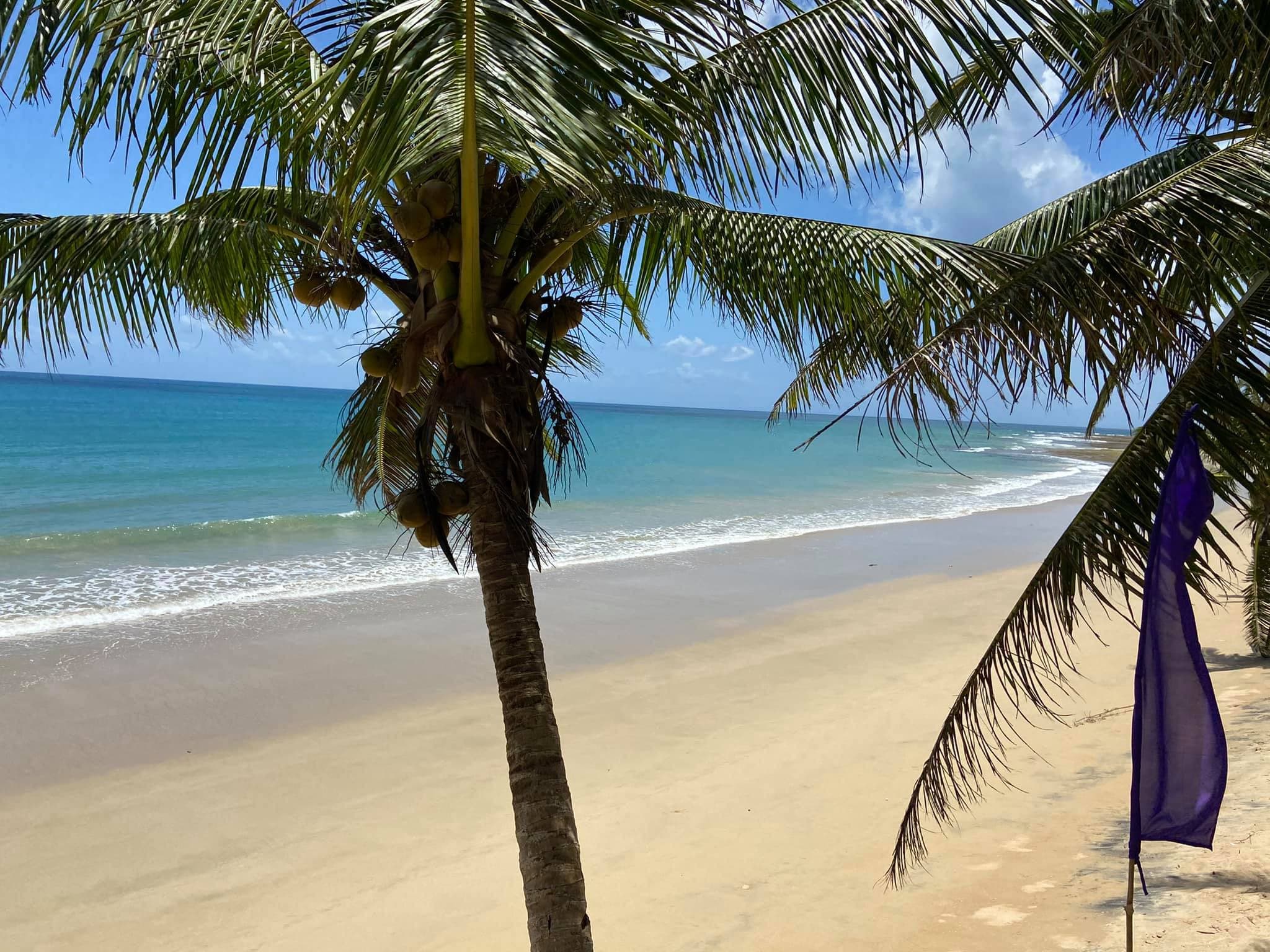 Maca Beach Resort Polillo