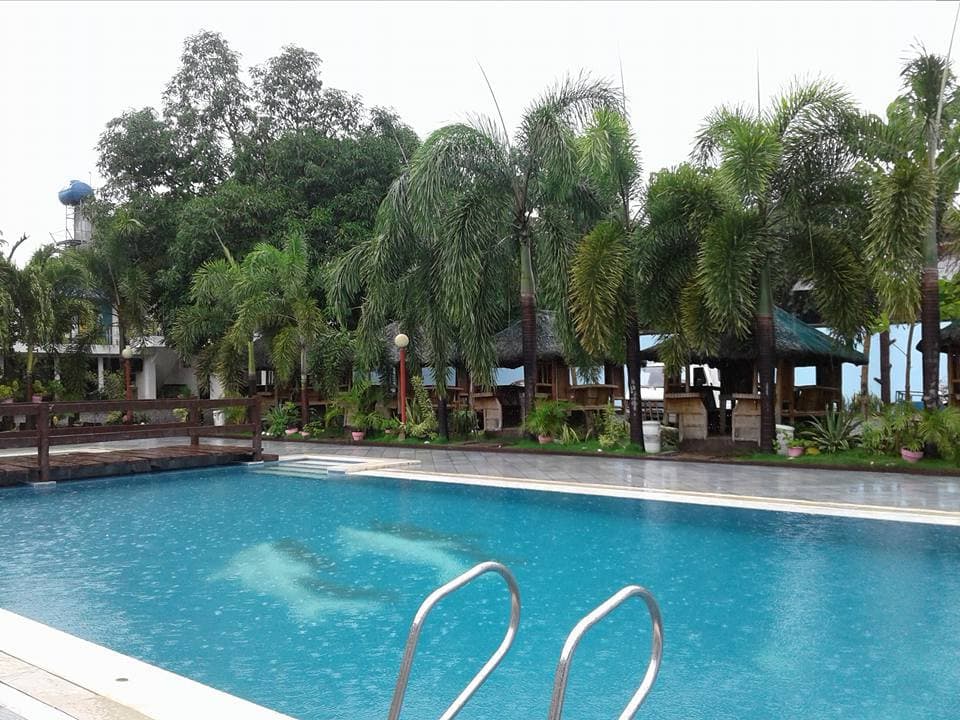 Gallery 5