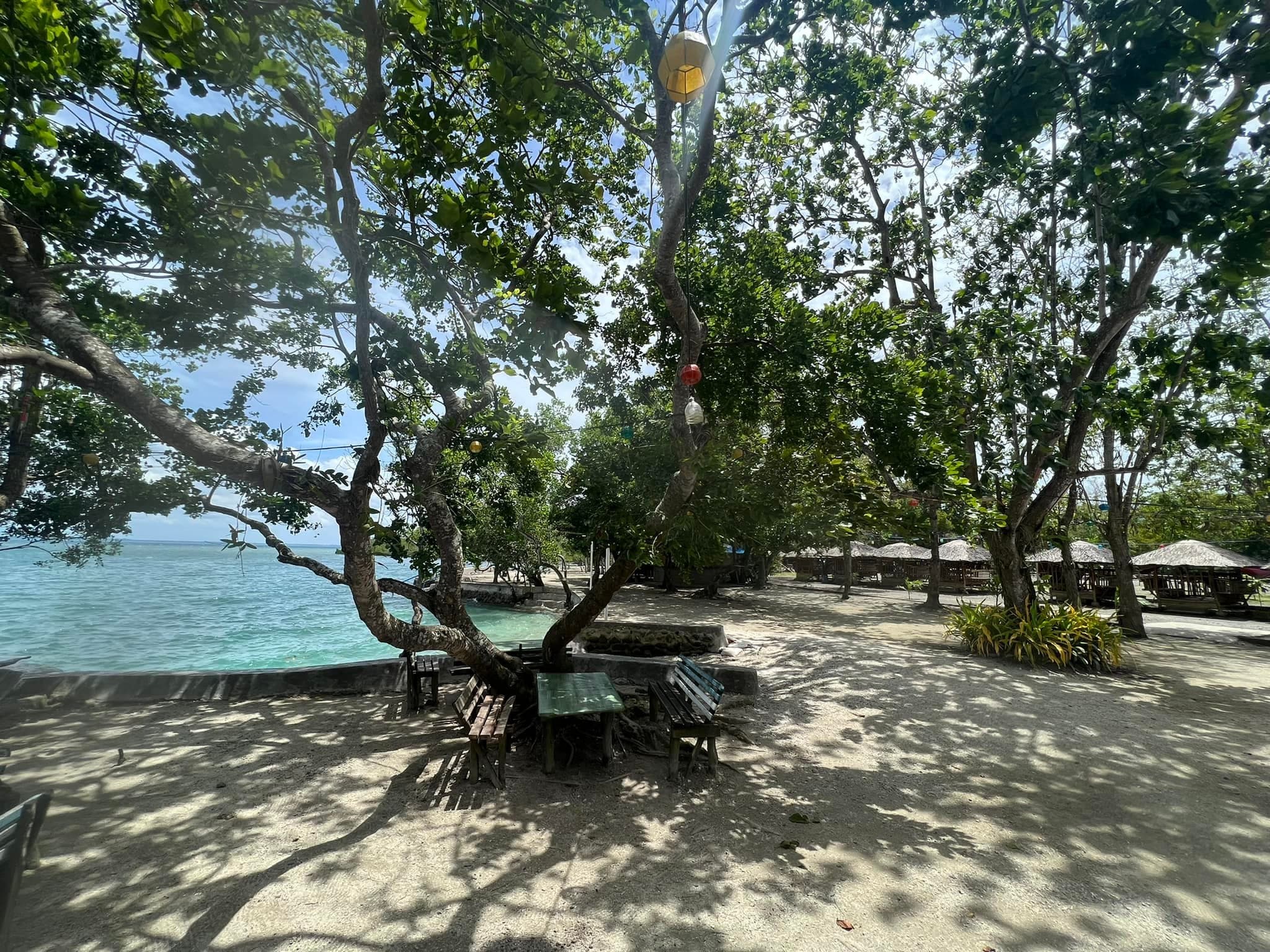 Gallery 2