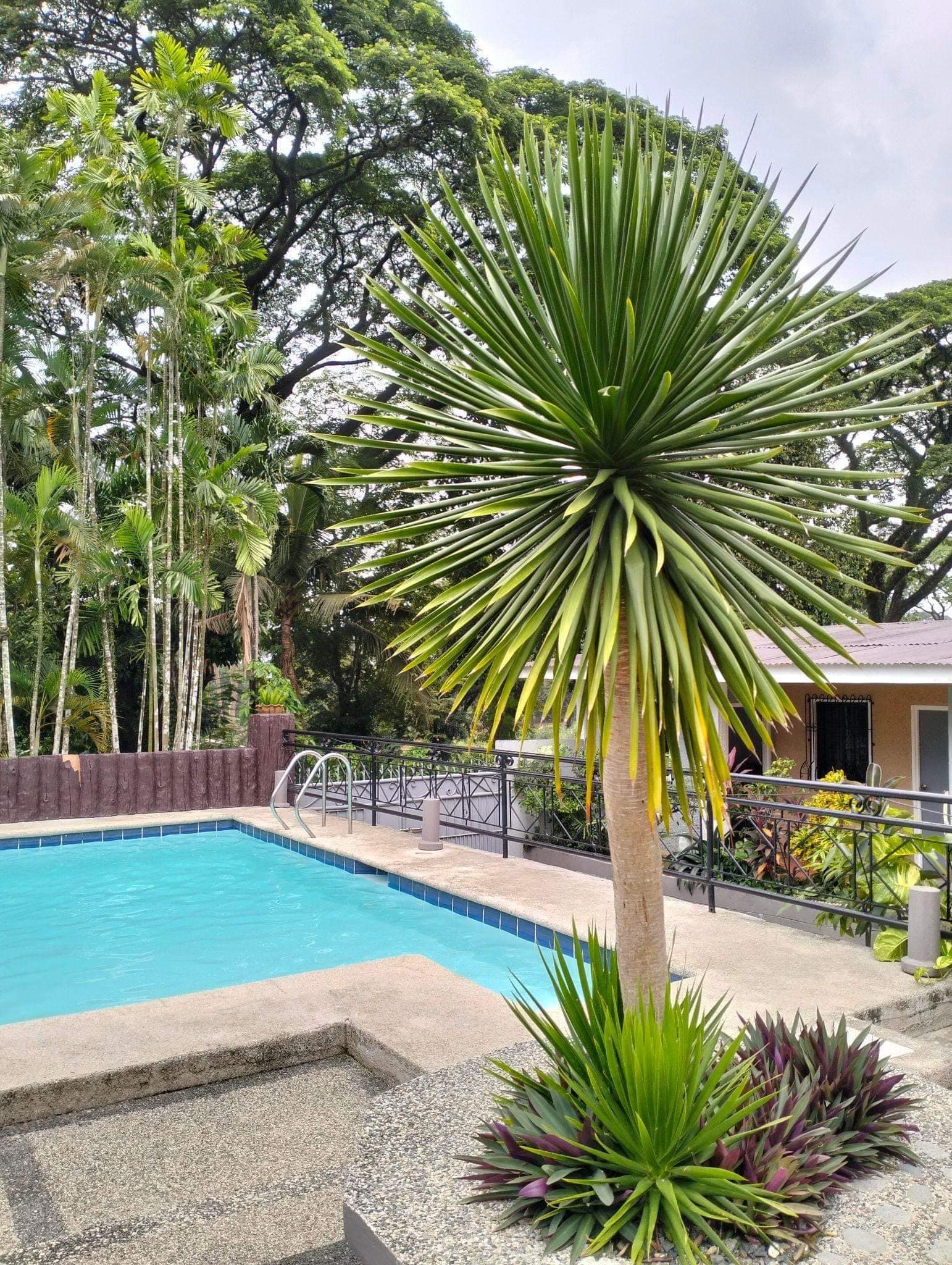 Green Palms Resort and Events Place