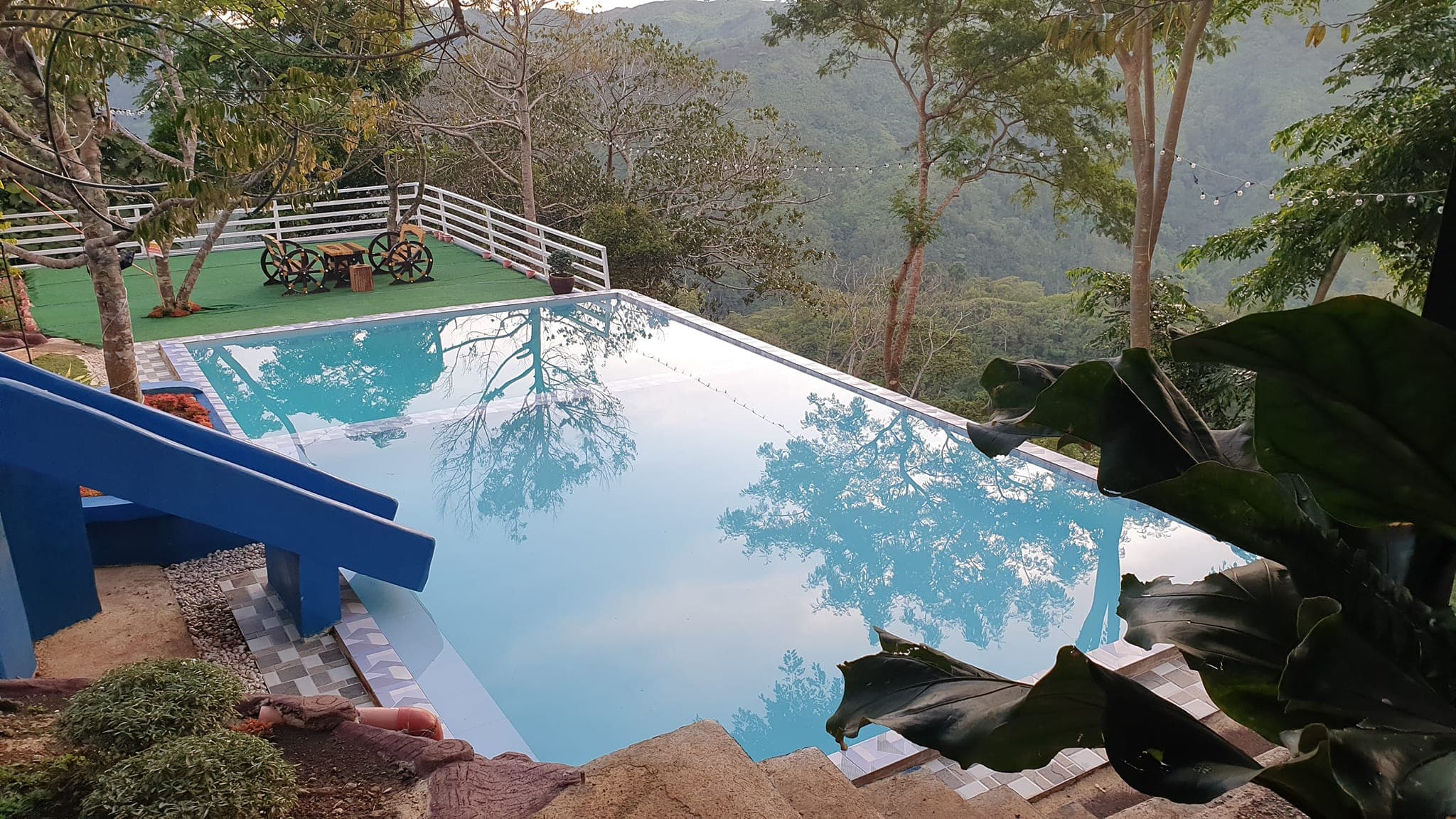 ACJD's Durian Farm Family Resort