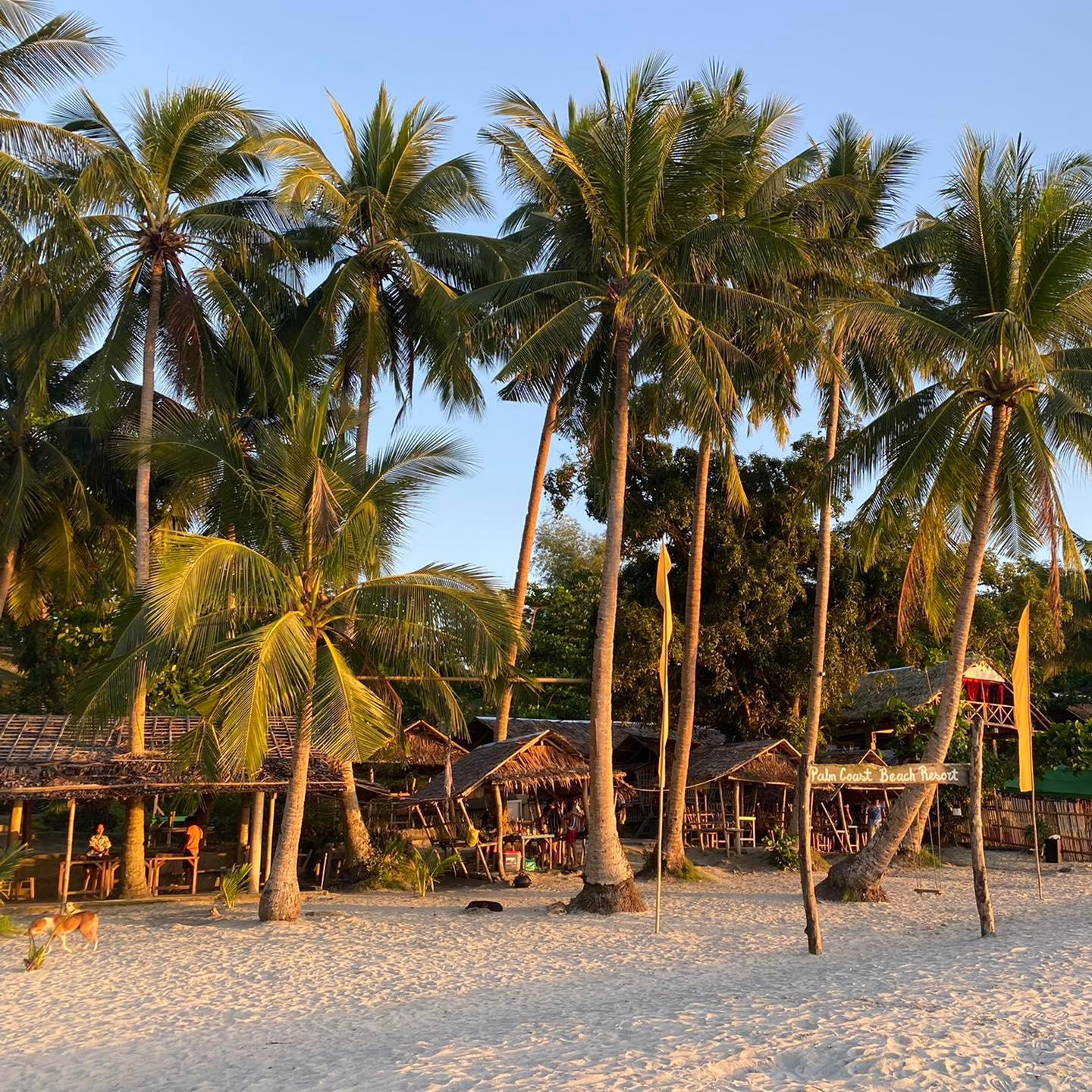 Palm Coast Beach Resort